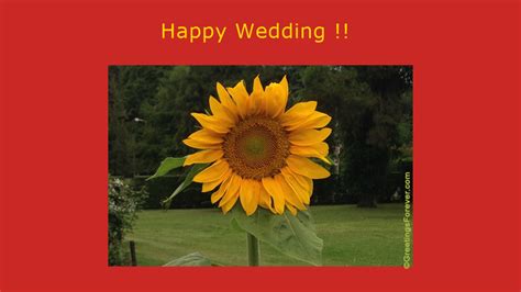 happy wedding wedding ecards