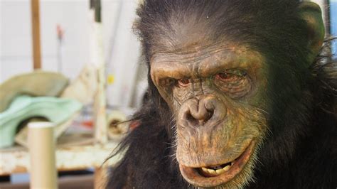 Ape Man Blink Films