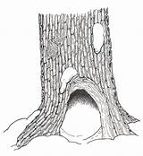 Tree Hollow Coloring Base Stump Mitten Clipart Pages Jan Brett Janbrett Wilson Mural Designlooter Clip Cliparts 608px Drawings 57kb Visit sketch template