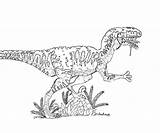 Raptor Jurassic Coloring Pages Dinosaur Getcolorings Color Rapto Print Printable Getdrawings Colorings sketch template