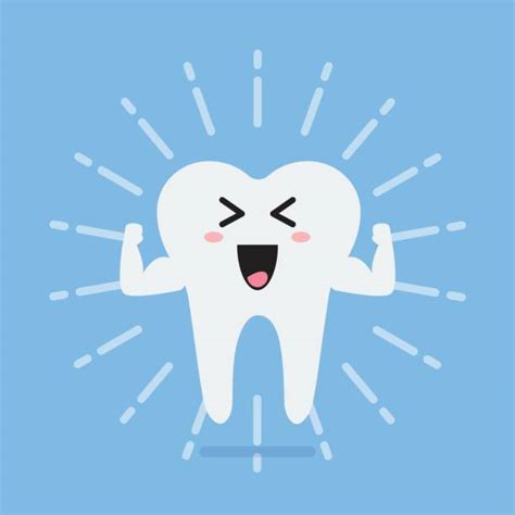 best permanent teeth illustrations royalty free vector graphics and clip