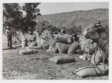 official world war ii photographs  australias pacific campaign state library  nsw