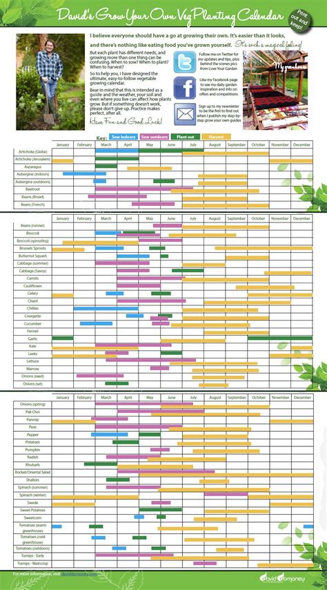 printable vegetable planting calendar