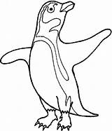 Penguin Coloring Pages Clipart Cartoon Penguins Color Animals Fairy Animal African Printable Cliparts Template Tacky Cute Templates Print Google Library sketch template