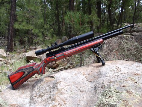 The Super Quiet Survival Rifle That Will Always Keep You Hidden Off