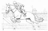 Horses Coloriage Chevaux Cavalli Colorat Saltando Cheval Zawody Caballo Cai Imprimer Konne Caballos Kolorowanka Coloriages Dibujito Jockey Druku Gulli Animaux sketch template