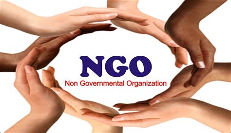 ngos   larger picture  indian democracy development