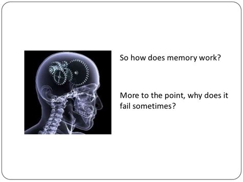 Introduction To Human Memory