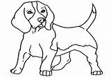 Beagle Coloring Pages Dog Print sketch template