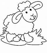 Sheep Coloring Baby Cute Pages Lamb Preschool Schaf Ausmalbilder Schafe Ausdrucken Color Zum Malvorlagen Und Drawing Clipart Printable Vorlagen Gif sketch template
