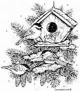 Birdhouse Chickadee Northwoods Trio Houses Colouring sketch template