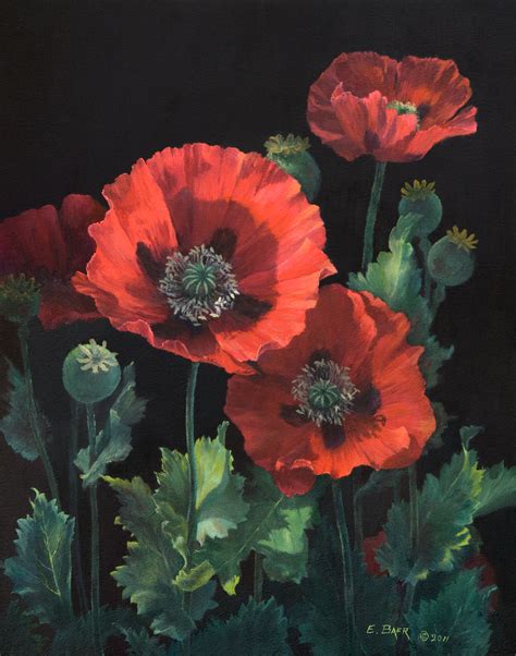 Red Poppies Picture This Framing And Gallery