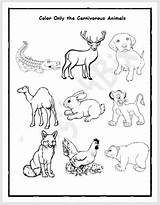 Herbivores Animals Workbook Englishbix Carnivores Reading sketch template
