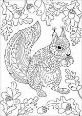 Herbst Ausmalbilder Erwachsene Eichhörnchen Blätter Grafiken Eicheln Färbung Eiche Symbole sketch template