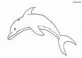 Delfin Delphin Malvorlage Zootiere Tiere Unterwasserwelt Einfach Zootier sketch template