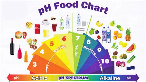 Can An Alkaline Diet Successfully Treat Cancer Signs