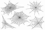 Cobweb Spider Ragnatela Icone Silhouette Spinnennetz Spinne Vettore Messe Descriva Ragno Eingestellt Netz Umreißen sketch template