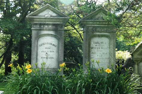 daylily hemerocallis spp mount auburn cemetery
