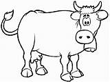 Coloring Pages Cows Herd Popular sketch template