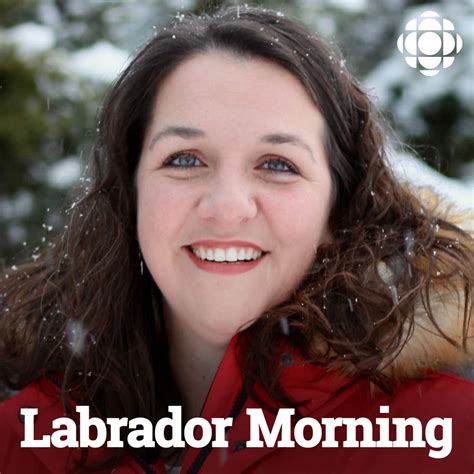 labrador morning from cbc radio nfld and labrador highlights podcast