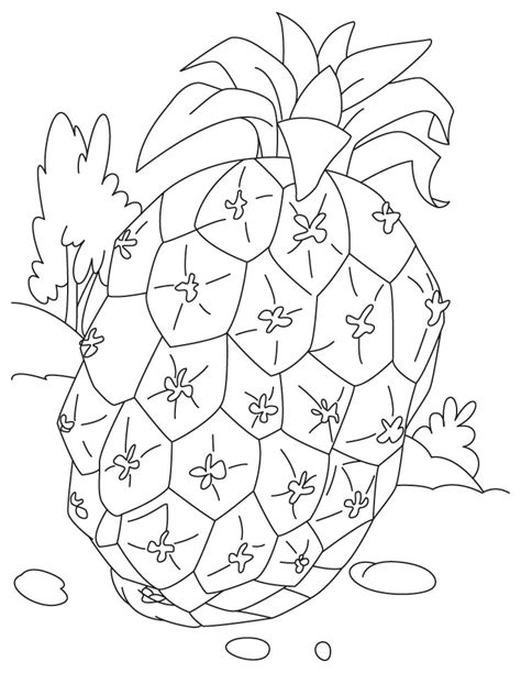 pineapple fruit coloring pages   pineapple fruit coloring