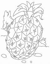 Coloring Pineapple Pages Printable Kids Fruit Bestcoloringpages Bestcoloringpagesforkids Sheets Popular sketch template