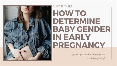 determine baby gender  early pregnancy  ways  predict babys gender youtube