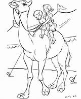 Circus Coloring Pages Animals Camel Animal sketch template