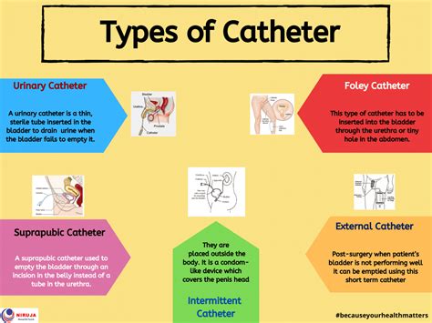types  catheter