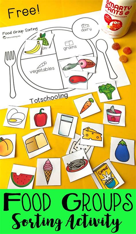 food groups sorting activity   perfect    kids learn