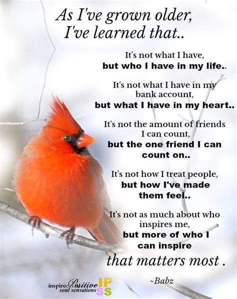 cardinal inspiring quotes  life cardinal quotes