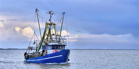 massive multi national north sea fishery gains msc certification