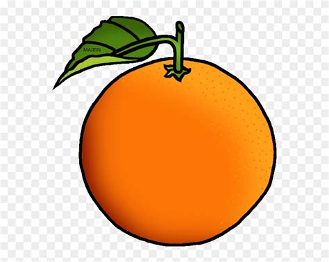 clipart  oranges