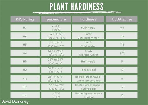 understanding plant labels david domoney