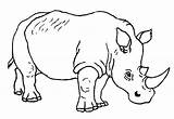 Mewarnai Badak Hewan Binatang Rhino sketch template