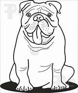 Bulldog Coloring Pages English Drawing Camera Line Sheets Adult Easy Kids Dog Drawings Printable Georgia Colouring Cctv Book Puppy Outline sketch template