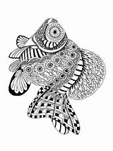 Pages Coloring Fish Zentangle Adult Adults Bright Teens Colors Favorite Choose Color sketch template