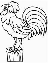 Coloring Rooster Animals Pages Easily Print sketch template