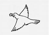 Coloring Pigeon Pages Cute Library Clipart Drawing Line Popular sketch template