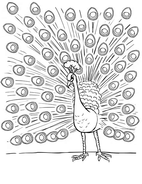 effortfulg coloring pages peacock