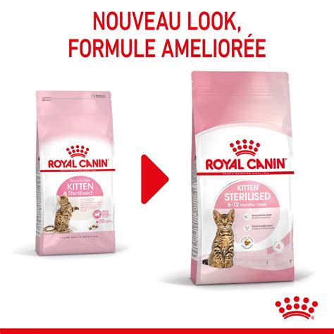 Royal Canin Kitten Sterilised Croquettes Pour Chat Wanimo