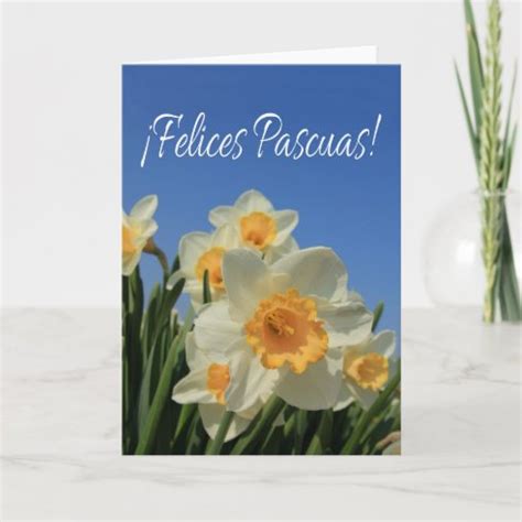 felices pascuas spanish easter cards zazzle