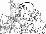 Zoo Coloring Pages Animal Printable Animals Color Getdrawings sketch template