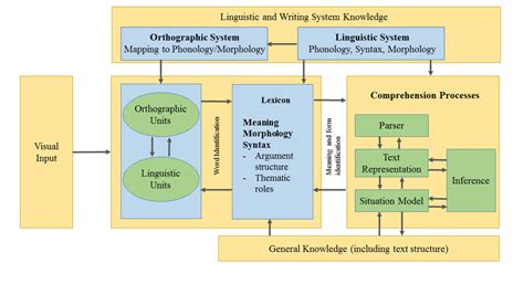 adapted   reading systems framework   developed