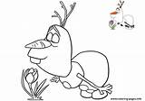 Coloring Olaf Pages Loves Flowers Printable sketch template