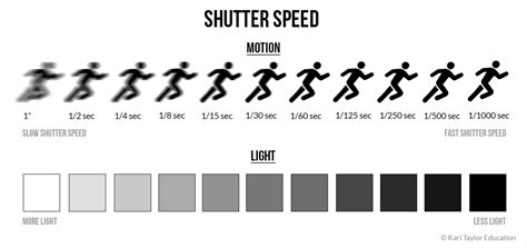 shutter speed  quick dive   essentials images