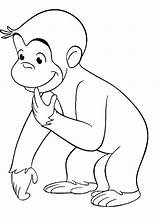 Affe Curious Monkey Coloring Gambar Kartun Mewarnai Monyet Tokoh Monos Ausmalen Affen Neugierige Lucu Malvorlagen Gorilla Simios Curioso Bestappsforkids Drucken sketch template