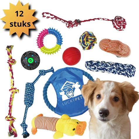 bolcom luckypets honden speelgoed met bal  puppy speeltjes hondenspeelgoed met touw en