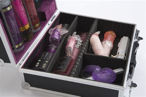 sex toy storage beyond the nightstand unhinged group