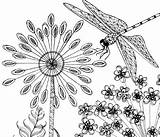 Dragonfly Realistic sketch template